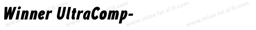 Winner UltraComp字体转换